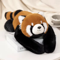 Racoon